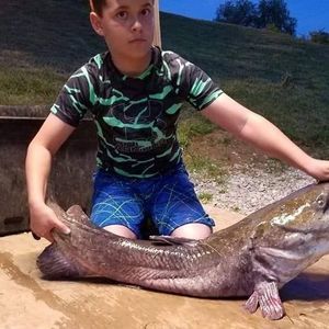 Meet your Posher, Roger